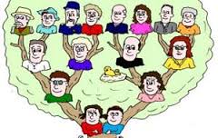 albero-genealogico-5.jpg